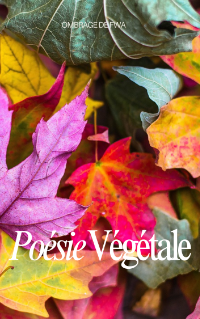 Poesie végétale - Ombrage de FWA Poesie végétale - Ombrage de FWA